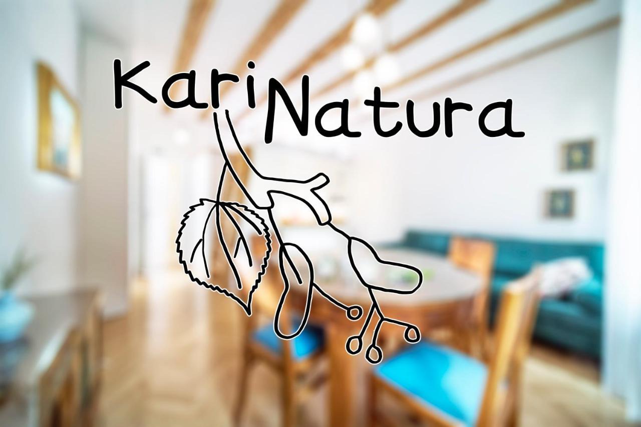 Karinatura Любляна Екстер'єр фото
