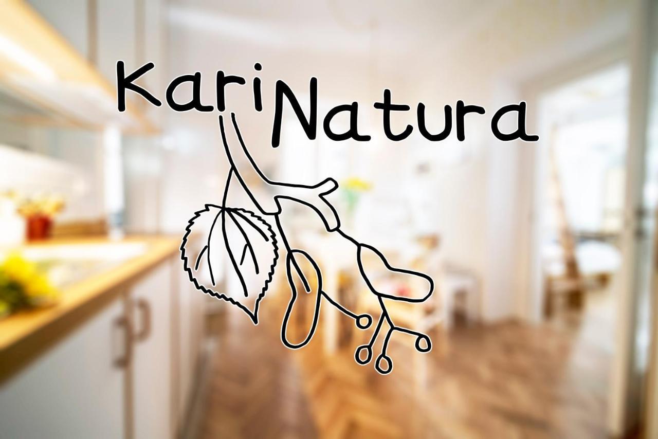 Karinatura Любляна Екстер'єр фото